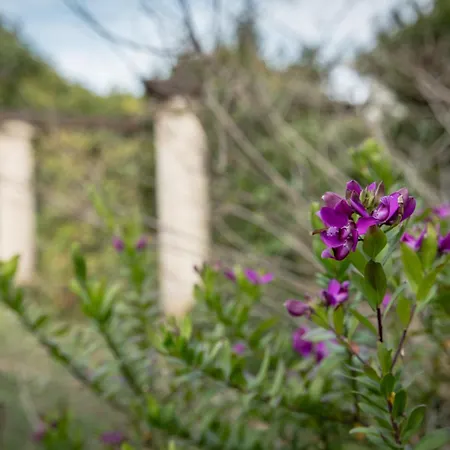 Country house La Torretta Di Francavilla Al Mare