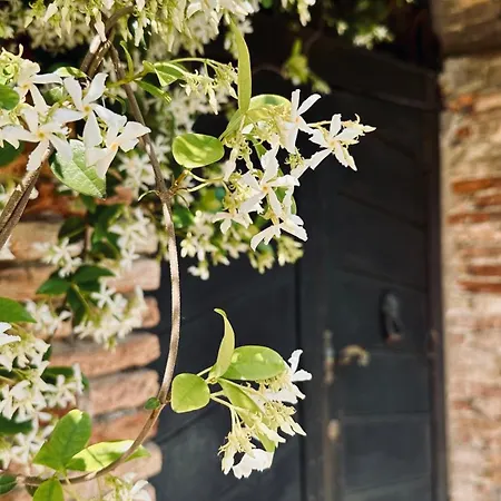 La Torretta Di Country house Francavilla Al Mare