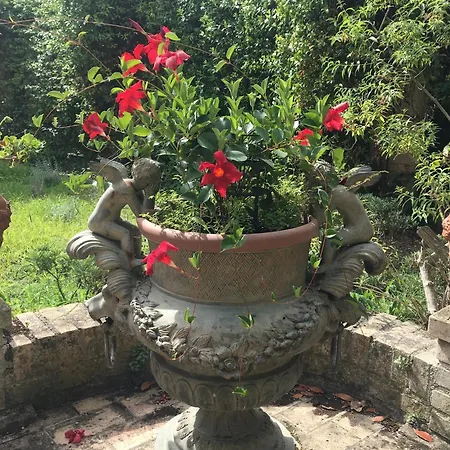 Country house La Torretta Di